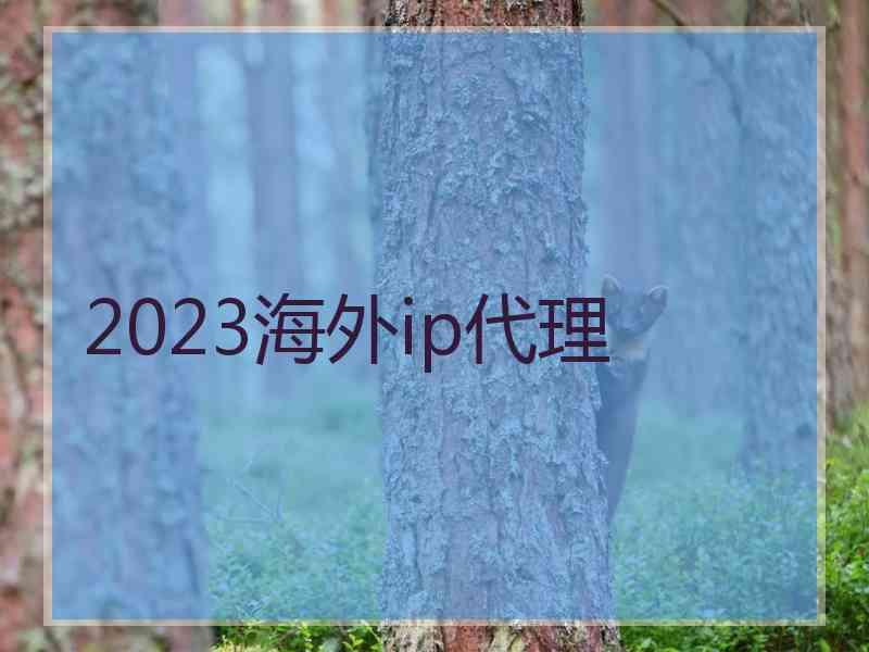2023海外ip代理