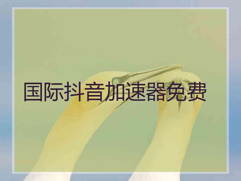 国际抖音加速器免费