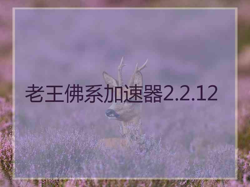 老王佛系加速器2.2.12