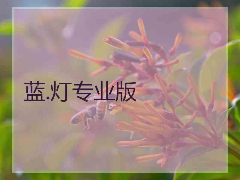 蓝.灯专业版