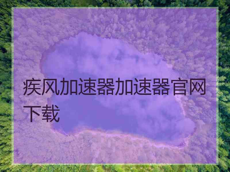 疾风加速器加速器官网下载