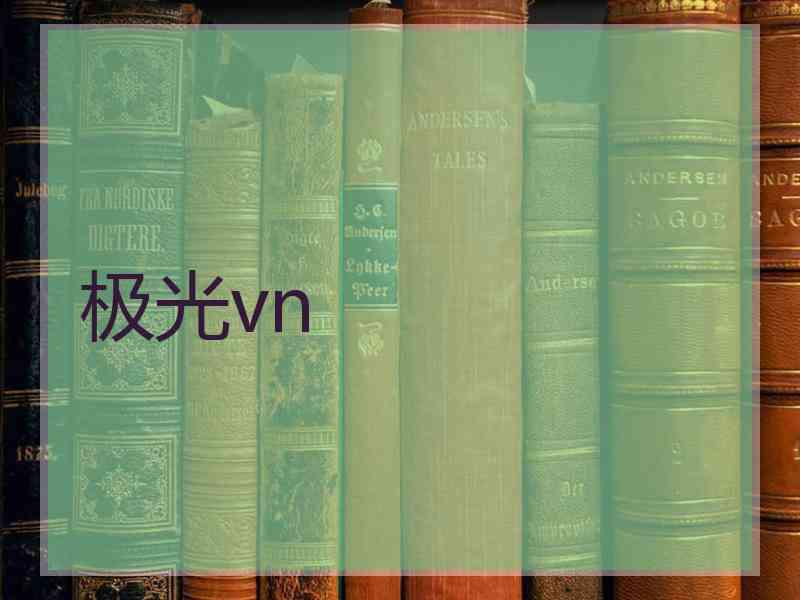极光vn