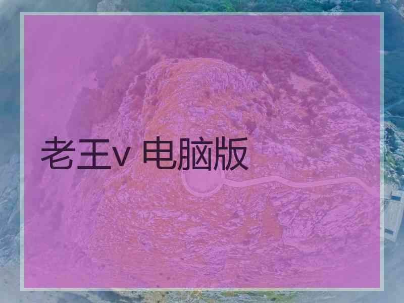 老王v 电脑版
