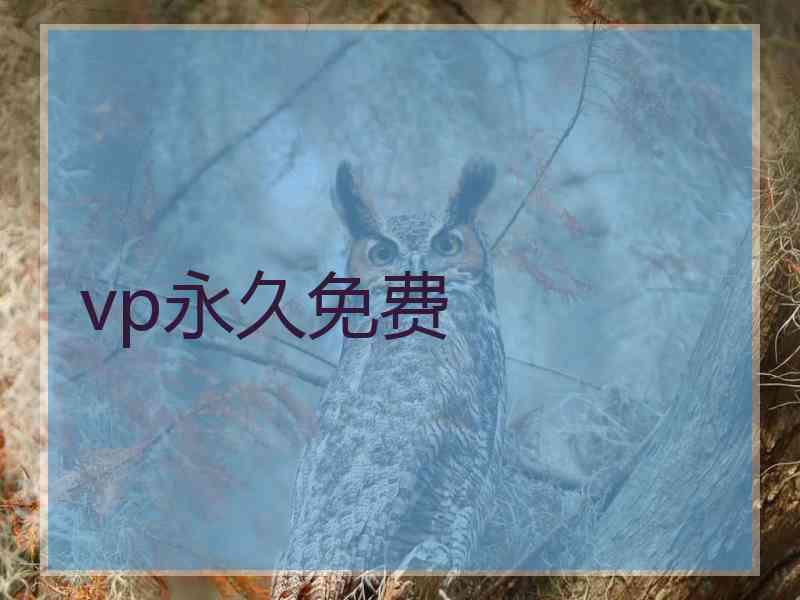 vp永久免费