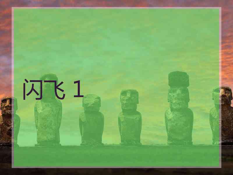 闪飞 1