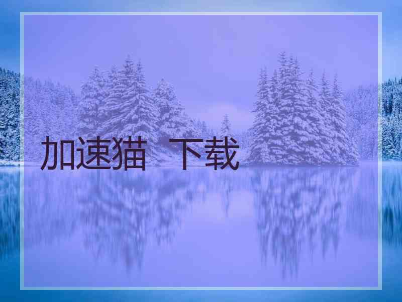加速猫  下载