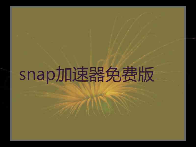snap加速器免费版
