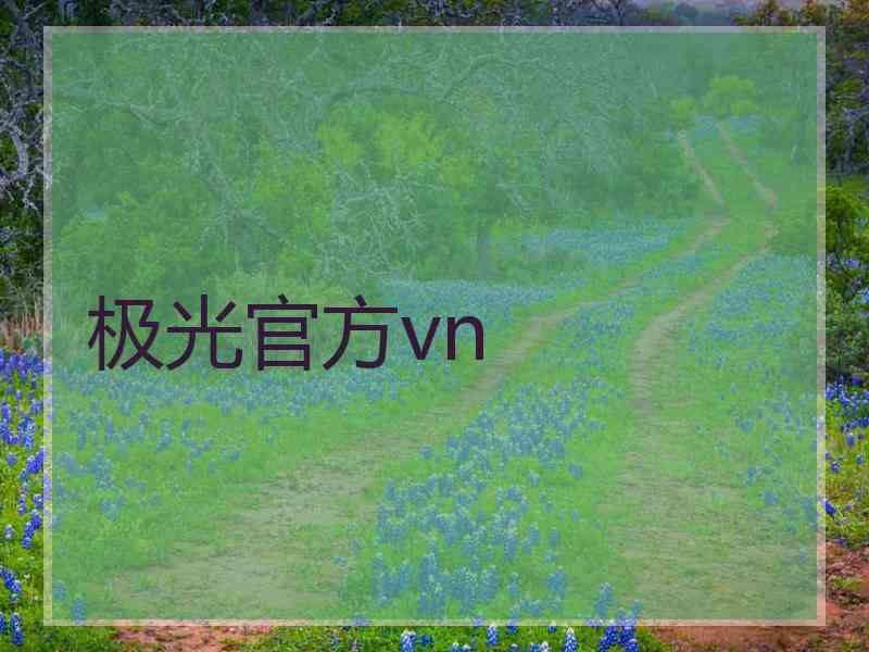 极光官方vn
