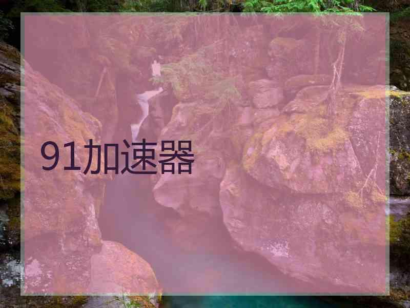 91加速器