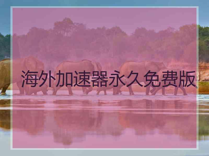 海外加速器永久免费版