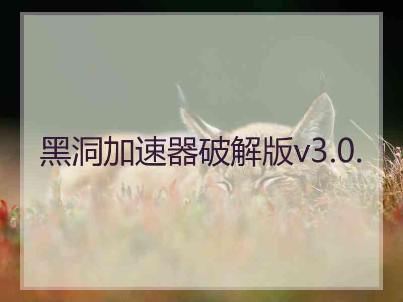 黑洞加速器破解版v3.0.