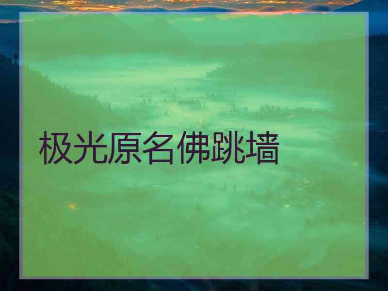 极光原名佛跳墙