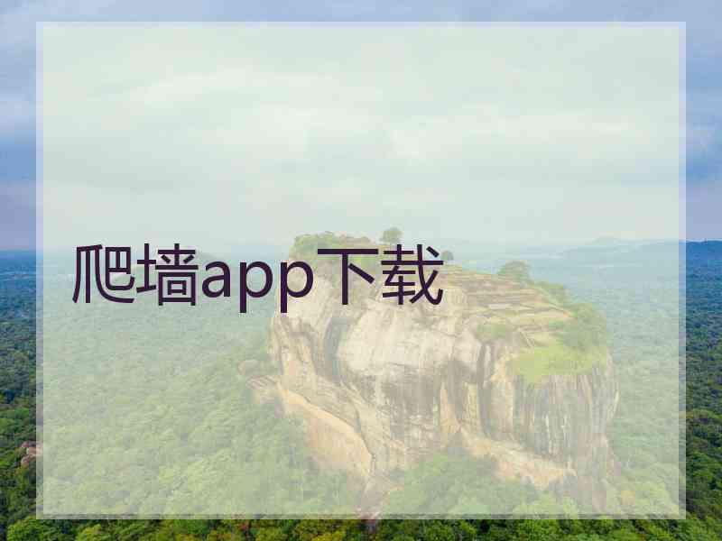 爬墙app下载