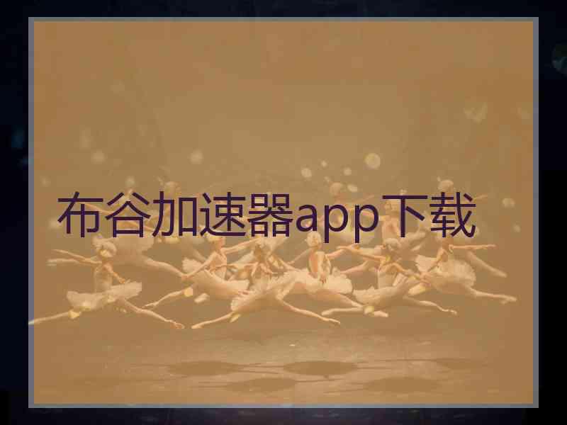 布谷加速器app下载