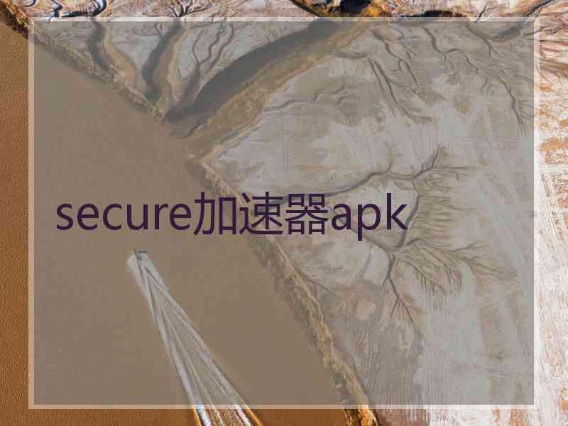 secure加速器apk