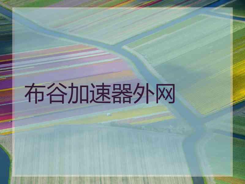 布谷加速器外网