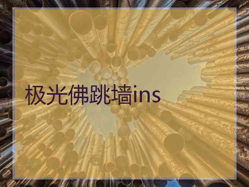 极光佛跳墙ins