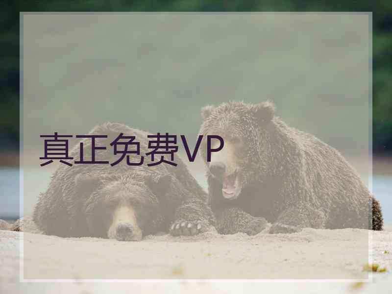 真正免费VP