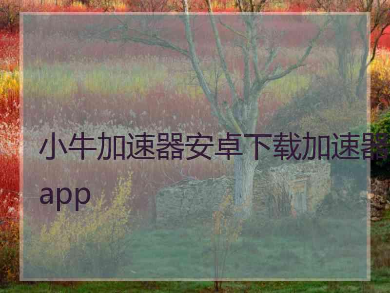 小牛加速器安卓下载加速器app