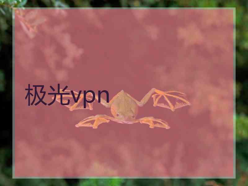 极光vpn