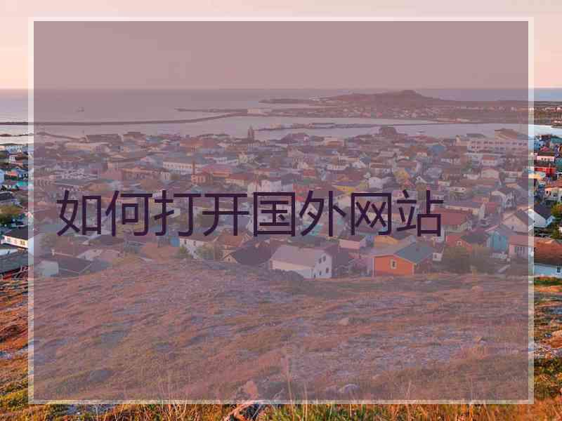 如何打开国外网站