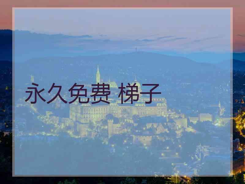 永久免费 梯子