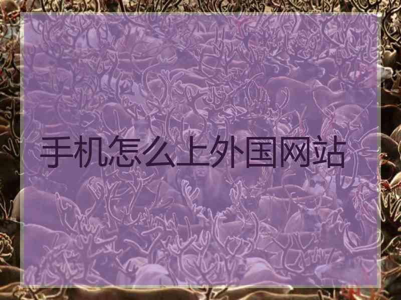 手机怎么上外国网站
