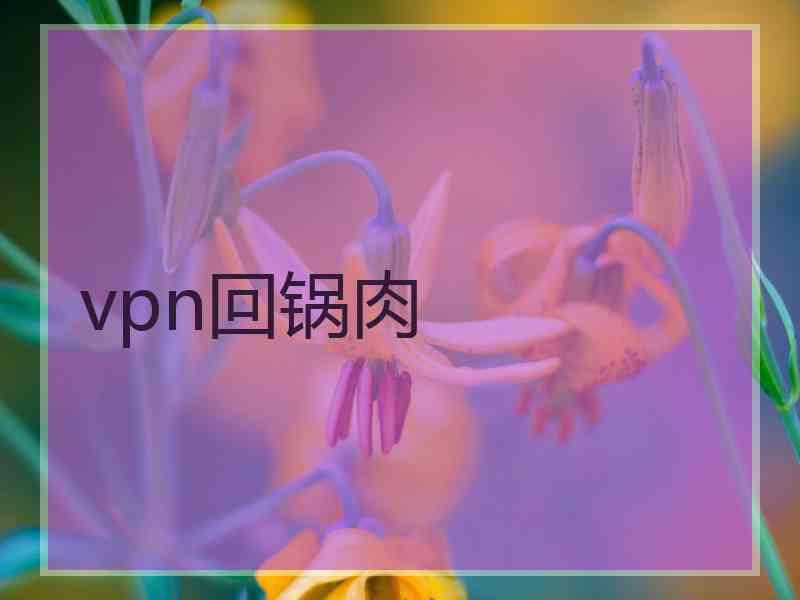 vpn回锅肉
