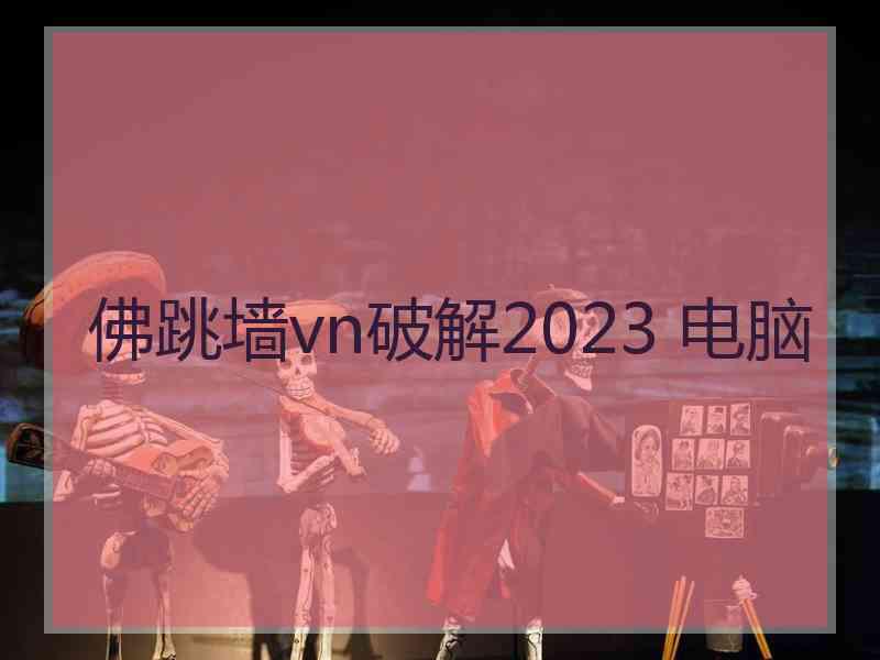 佛跳墙vn破解2023 电脑