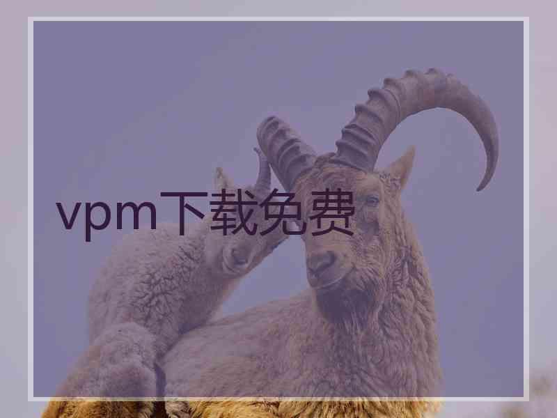 vpm下载免费