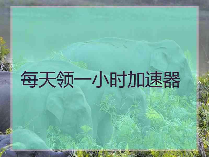 每天领一小时加速器