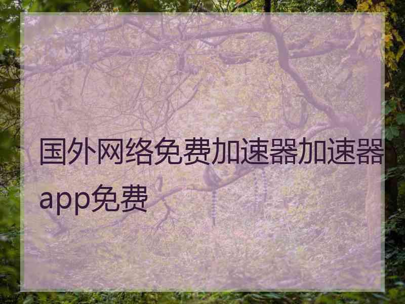 国外网络免费加速器加速器app免费