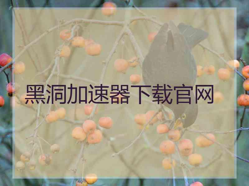 黑洞加速器下载官网
