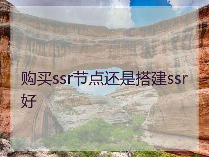 购买ssr节点还是搭建ssr好