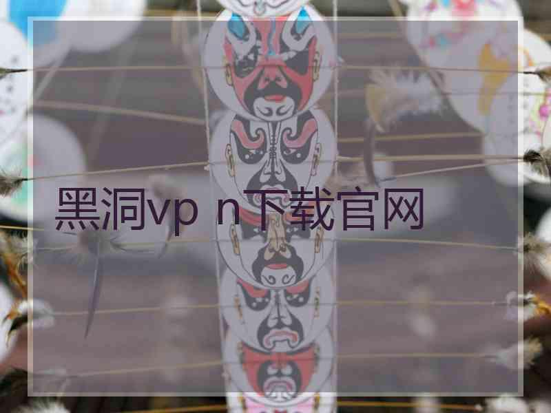黑洞vp n下载官网