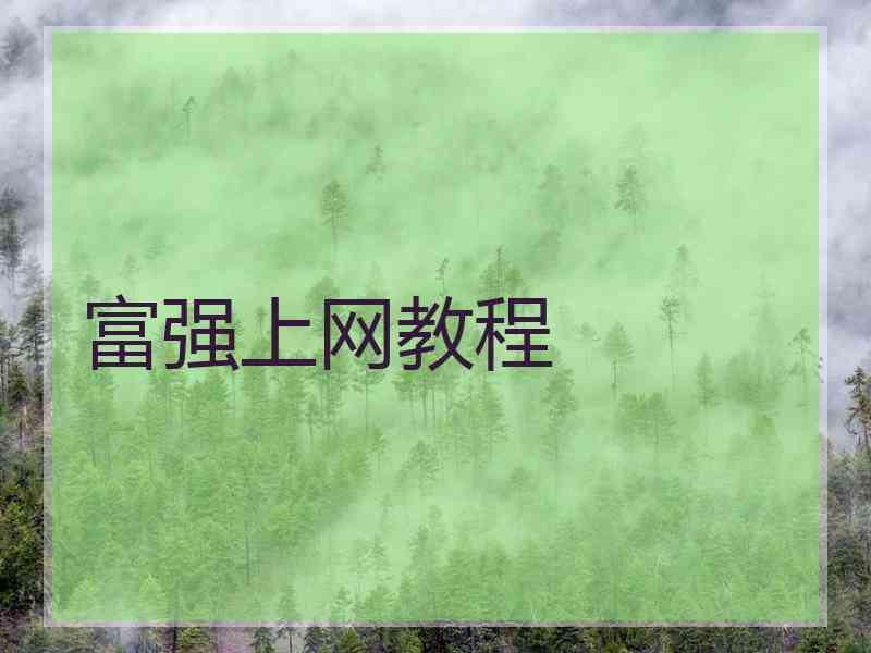 富强上网教程
