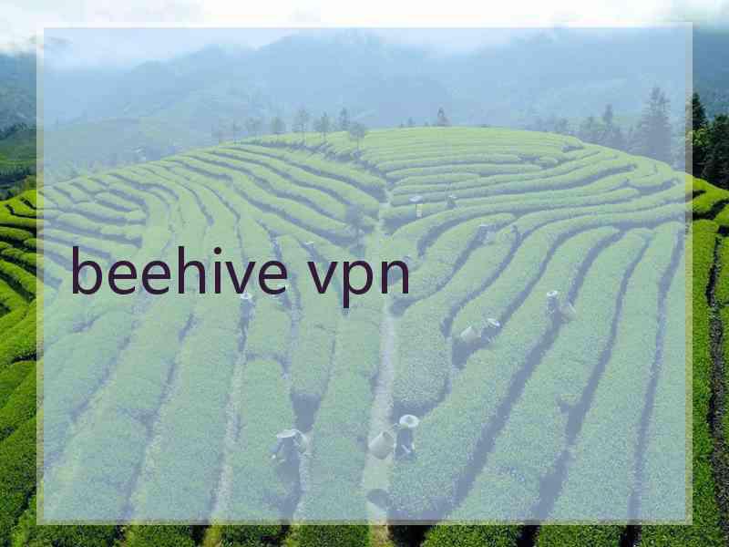 beehive vpn