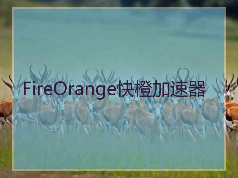 FireOrange快橙加速器