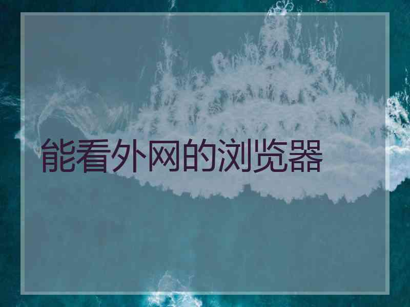 能看外网的浏览器