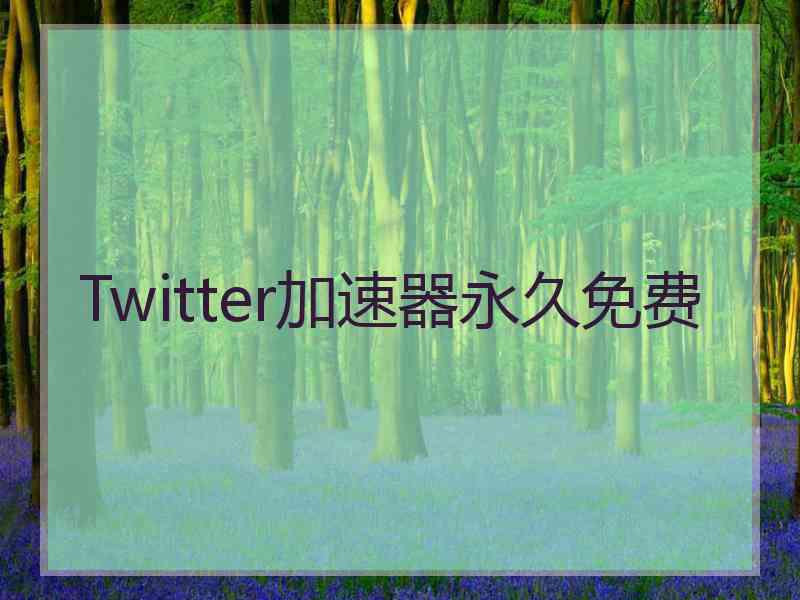 Twitter加速器永久免费