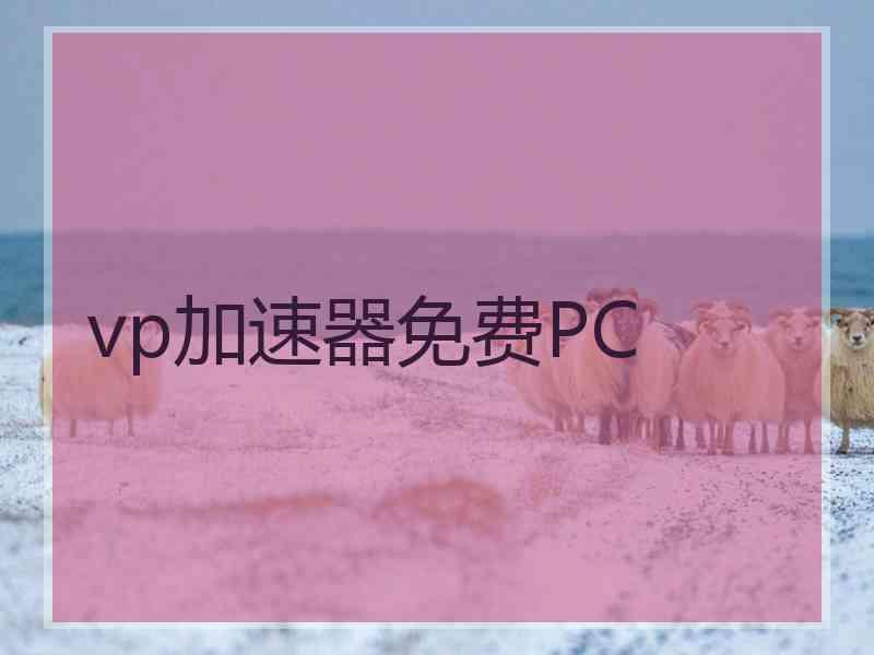 vp加速器免费PC