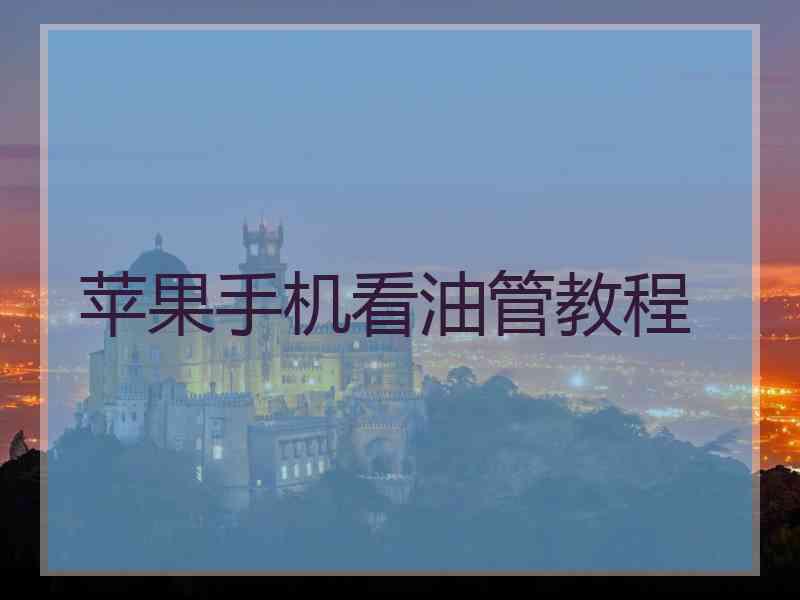 苹果手机看油管教程