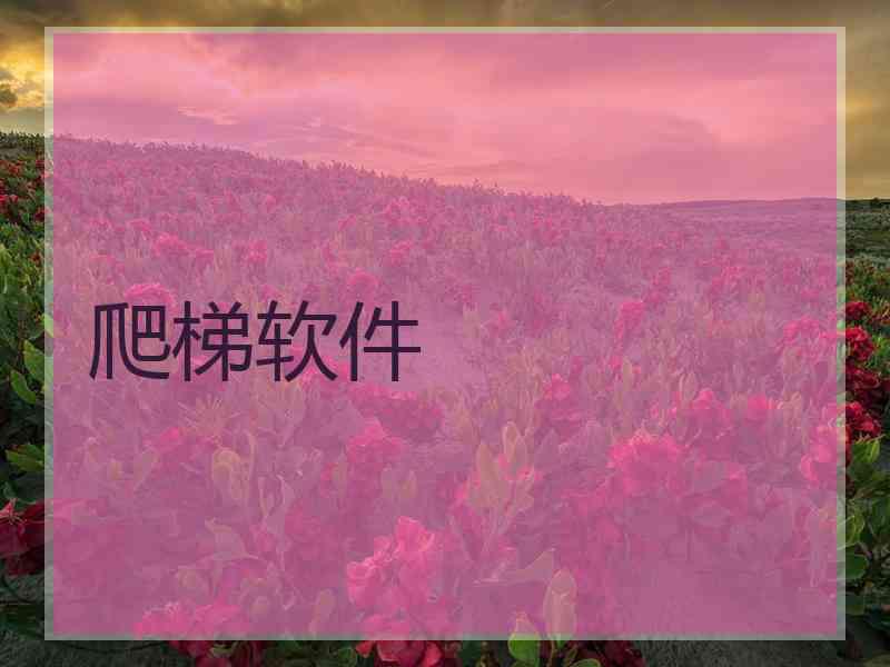 爬梯软件
