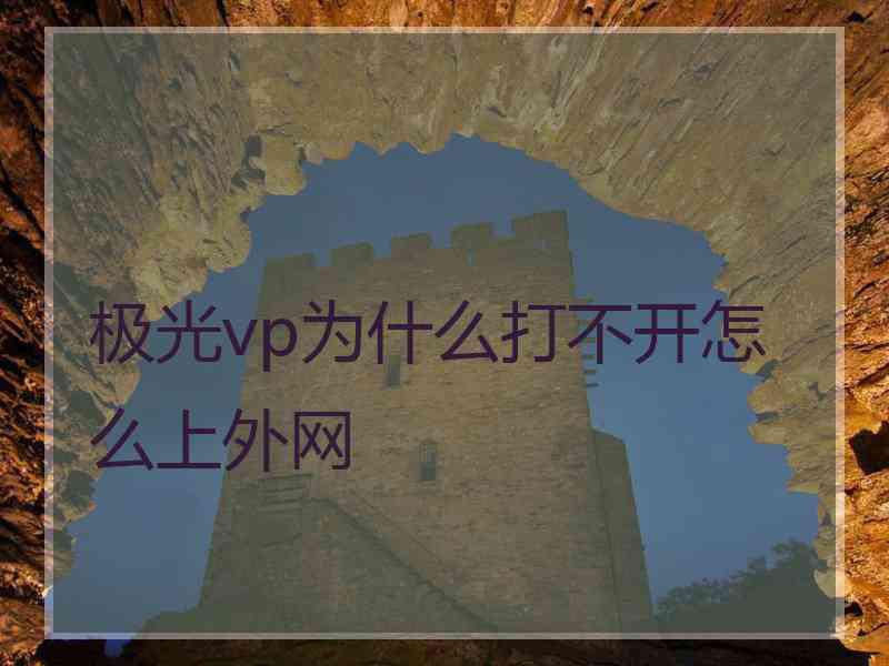 极光vp为什么打不开怎么上外网