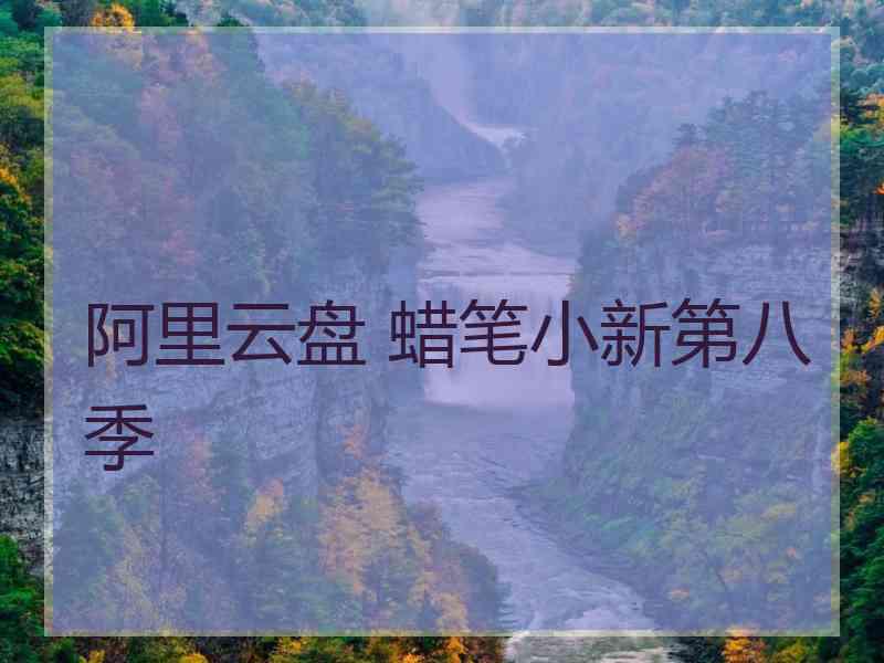 阿里云盘 蜡笔小新第八季