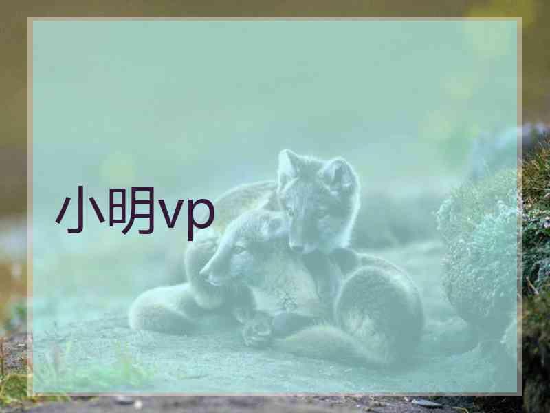小明vp