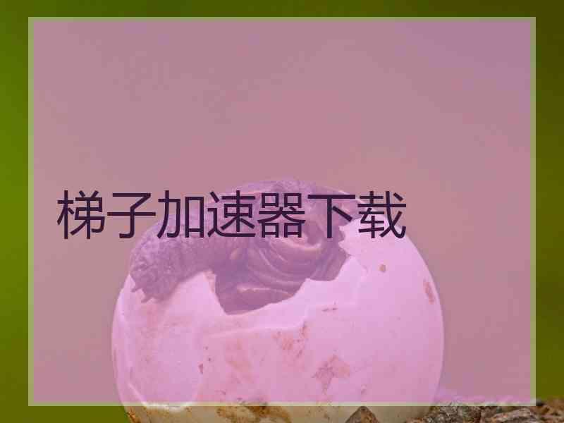 梯子加速器下载
