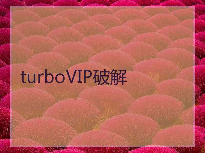 turboVIP破解