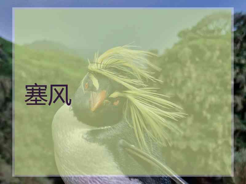 塞风