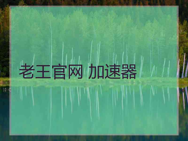 老王官网 加速器
